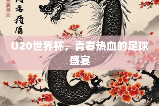 U20世界杯，青春热血的足球盛宴