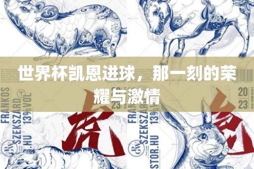 世界杯凯恩进球，那一刻的荣耀与激情