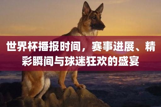 世界杯播报时间，赛事进展、精彩瞬间与球迷狂欢的盛宴