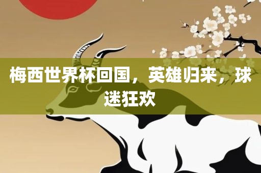 梅西世界杯回国，英雄归来，球迷狂欢