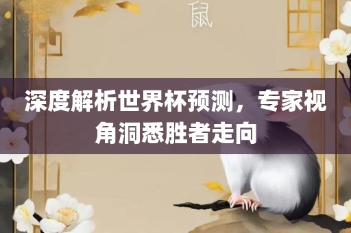 深度解析世界杯预测，专家视角洞悉胜者走向