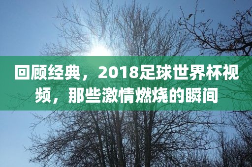 回顾经典，2018足球世界杯视频，那些激情燃烧的瞬间