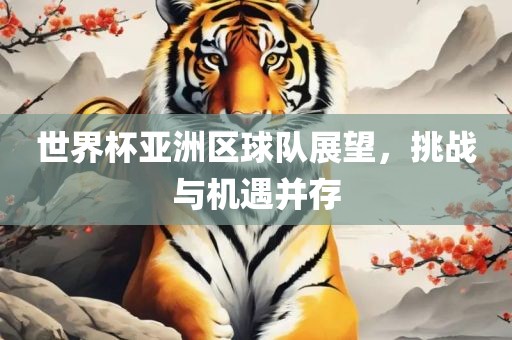 世界杯亚洲区球队展望，挑战与机遇并存