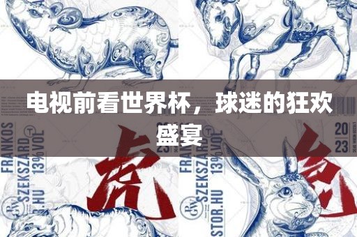 电视前看世界杯，球迷的狂欢盛宴