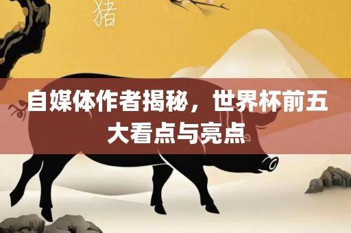 自媒体作者揭秘，世界杯前五大看点与亮点