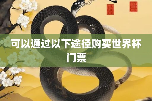 可以通过以下途径购买世界杯门票
