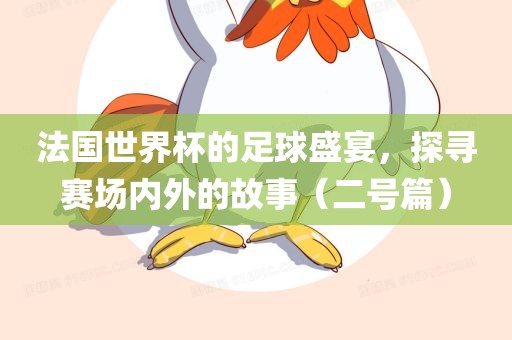 法国世界杯的足球盛宴，探寻赛场内外的故事（二号篇）