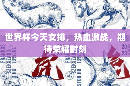 世界杯今天女排，热血激战，期待荣耀时刻