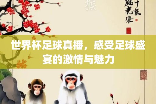 世界杯足球真播，感受足球盛宴的激情与魅力