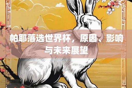 帕耶落选世界杯，原因、影响与未来展望