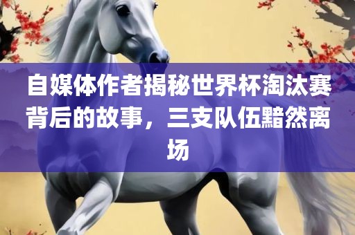 自媒体作者揭秘世界杯淘汰赛背后的故事，三支队伍黯然离场