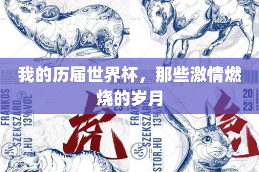 我的历届世界杯，那些激情燃烧的岁月