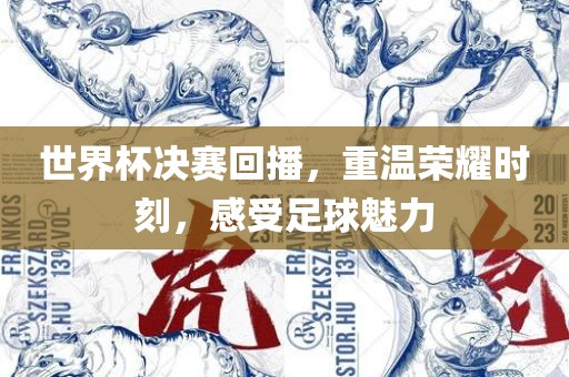 世界杯决赛回播，重温荣耀时刻，感受足球魅力