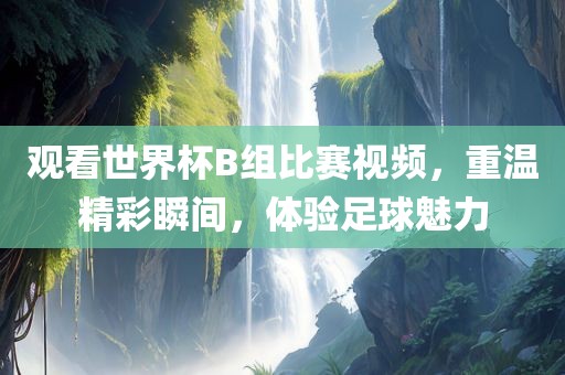 观看世界杯B组比赛视频，重温精彩瞬间，体验足球魅力