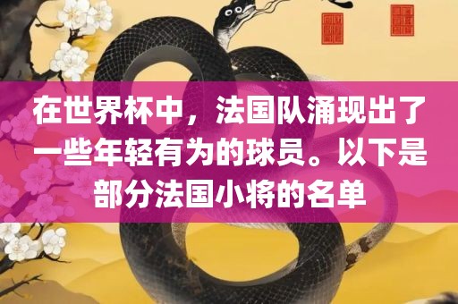 在世界杯中，法国队涌现出了一些年轻有为的球员。以下是部分法国小将的名单