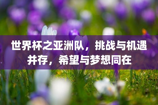 世界杯之亚洲队，挑战与机遇并存，希望与梦想同在