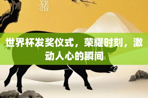 世界杯发奖仪式，荣耀时刻，激动人心的瞬间