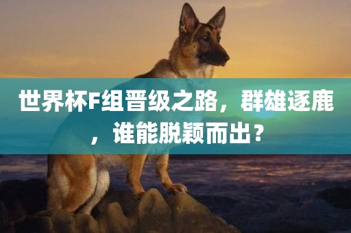 世界杯F组晋级之路，群雄逐鹿，谁能脱颖而出？
