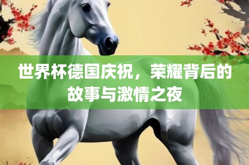 世界杯德国庆祝，荣耀背后的故事与激情之夜