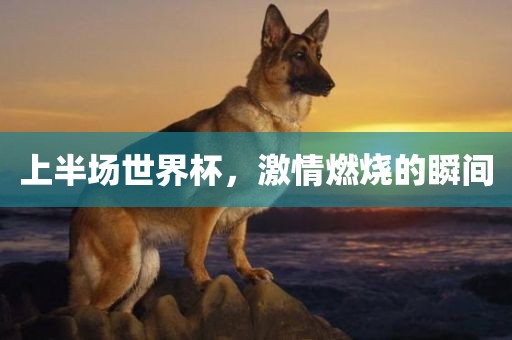 上半场世界杯，激情燃烧的瞬间