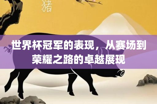 世界杯冠军的表现，从赛场到荣耀之路的卓越展现