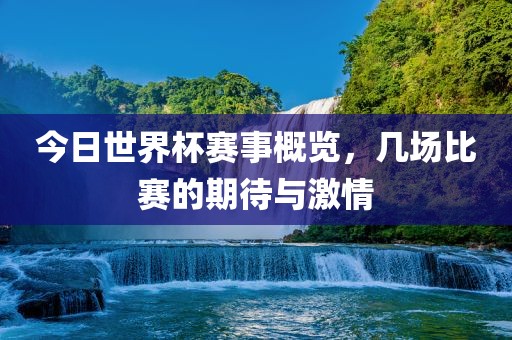 今日世界杯赛事概览，几场比赛的期待与激情