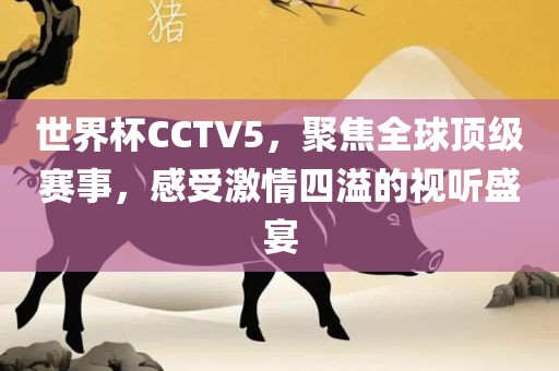 世界杯CCTV5，聚焦全球顶级赛事，感受激情四溢的视听盛宴