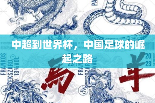 中超到世界杯，中国足球的崛起之路
