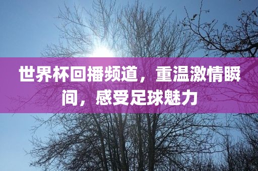 世界杯回播频道，重温激情瞬间，感受足球魅力