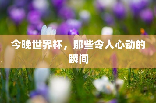 今晚世界杯，那些令人心动的瞬间