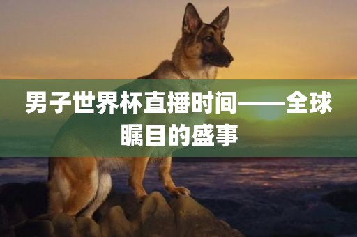 男子世界杯直播时间——全球瞩目的盛事