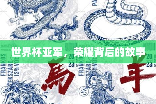 世界杯亚军，荣耀背后的故事
