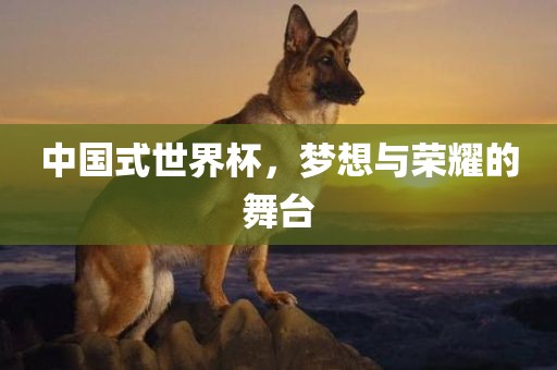中国式世界杯，梦想与荣耀的舞台