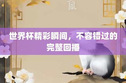 世界杯精彩瞬间，不容错过的完整回播