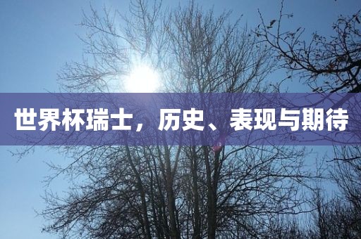 世界杯瑞士，历史、表现与期待