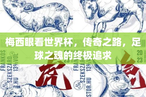 梅西眼看世界杯，传奇之路，足球之魂的终极追求
