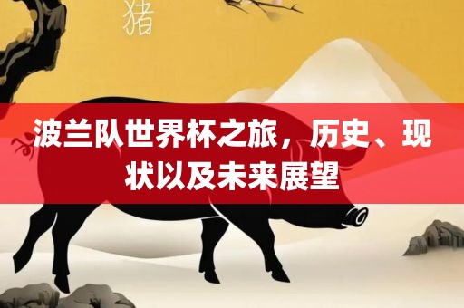 波兰队世界杯之旅，历史、现状以及未来展望