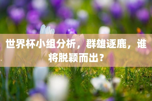 世界杯小组分析，群雄逐鹿，谁将脱颖而出？