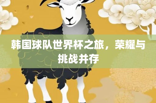 韩国球队世界杯之旅，荣耀与挑战并存