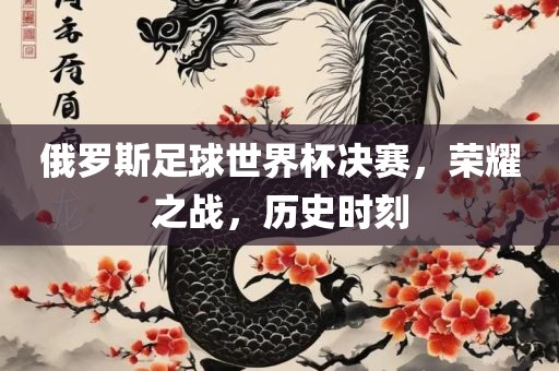 俄罗斯足球世界杯决赛，荣耀之战，历史时刻