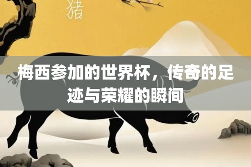 梅西参加的世界杯，传奇的足迹与荣耀的瞬间