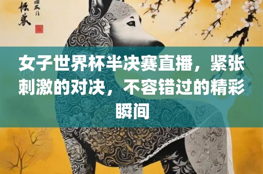 女子世界杯半决赛直播，紧张刺激的对决，不容错过的精彩瞬间