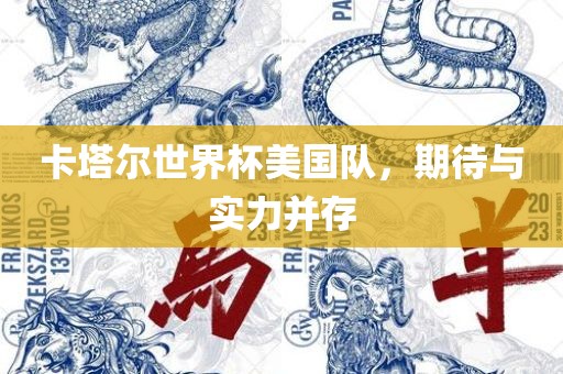 卡塔尔世界杯美国队，期待与实力并存