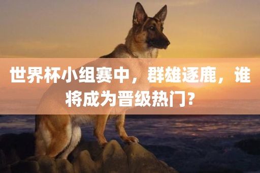 世界杯小组赛中，群雄逐鹿，谁将成为晋级热门？