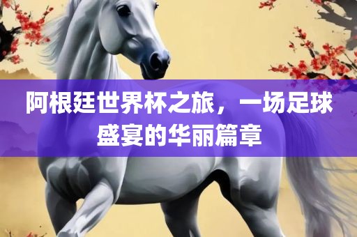 阿根廷世界杯之旅，一场足球盛宴的华丽篇章