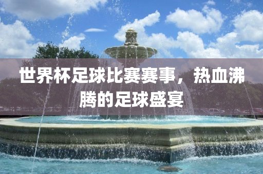 世界杯足球比赛赛事，热血沸腾的足球盛宴
