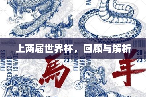 上两届世界杯，回顾与解析