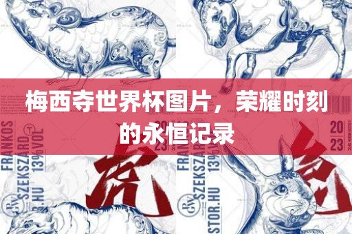 梅西夺世界杯图片，荣耀时刻的永恒记录