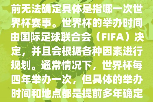 关于下一站世界杯的信息，目前无法确定具体是指哪一次世界杯赛事。世界杯的举办时间由国际足球联合会（FIFA）决定，并且会根据各种因素进行规划。通常情况下，世界杯每四年举办一次，但具体的举办时间和地点都是提前多年确定的。