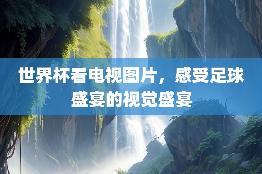 世界杯看电视图片，感受足球盛宴的视觉盛宴